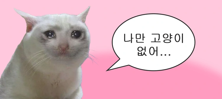 나만 없어 고양이